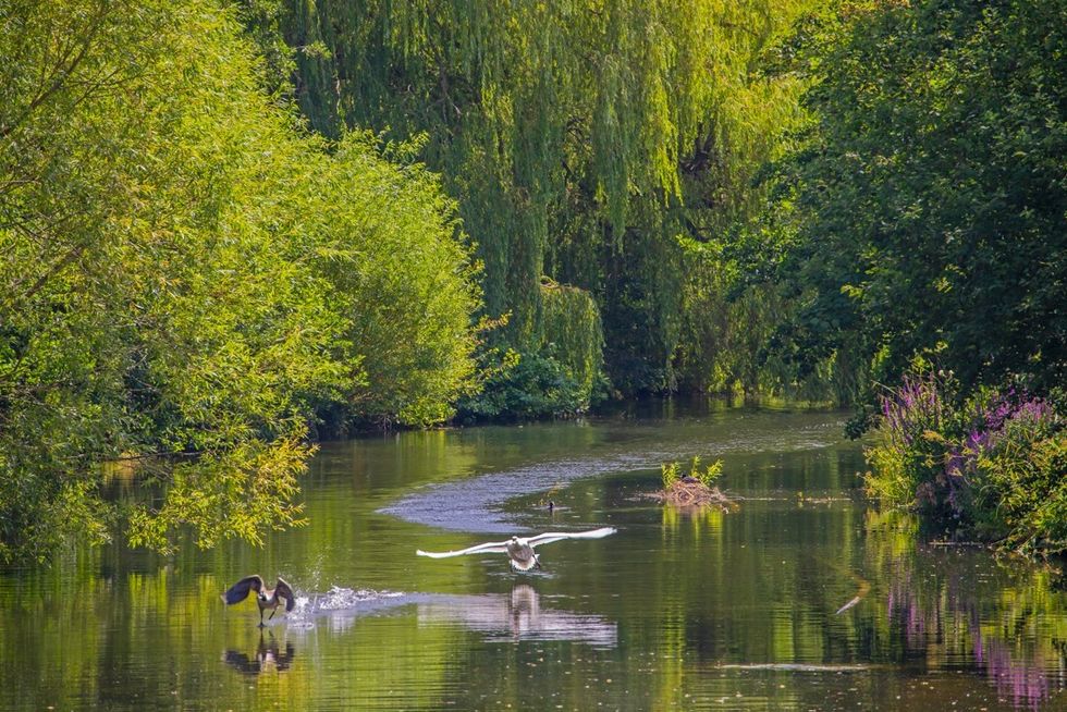 Chiswick London