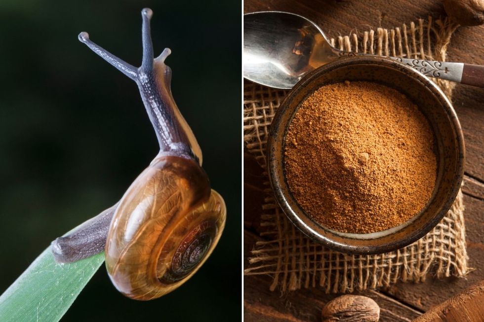 coffee and snails