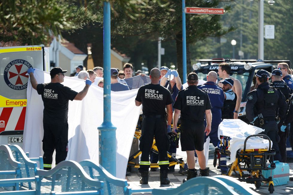 Coogee beach shark attack