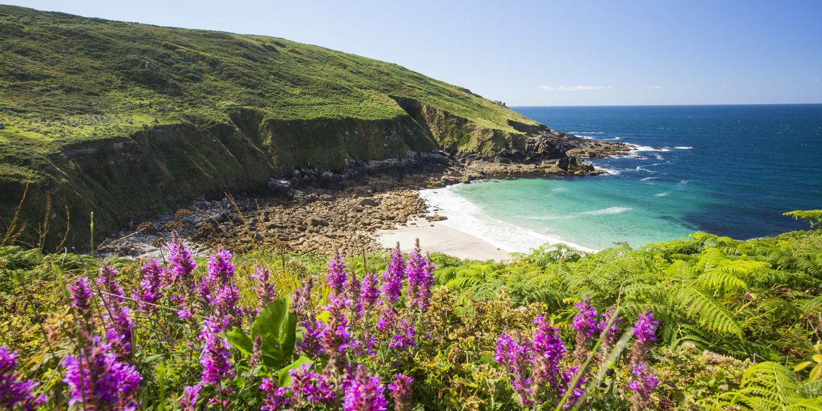 Staycations: Britons can save on trips to UK beaches this summer as demand soars