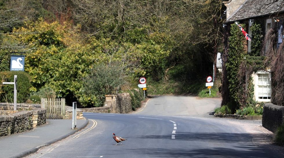 Cotswolds
