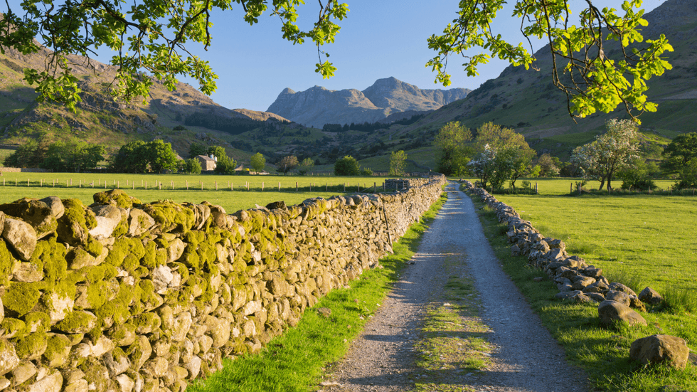 countryside
