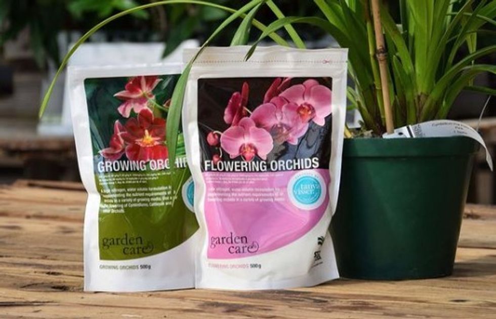 DARLING ORCHIDS