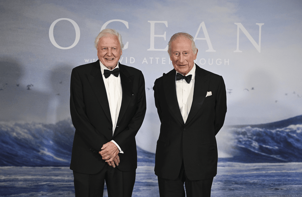 David Attenborough and King Charles