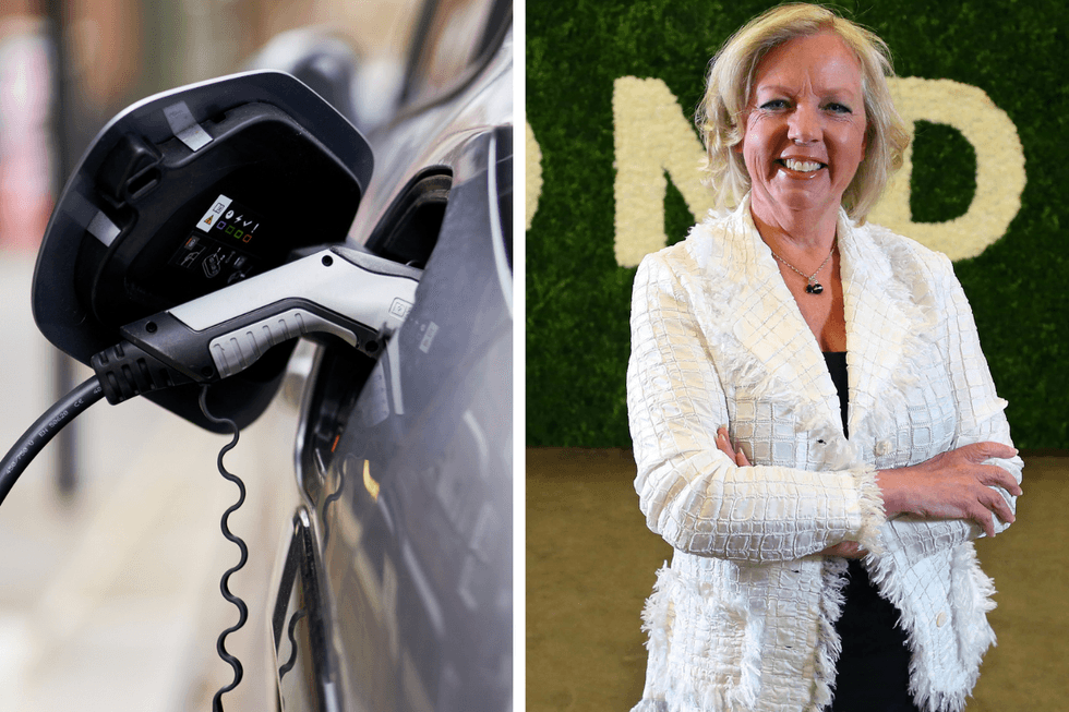 Deborah Meaden and electric charger