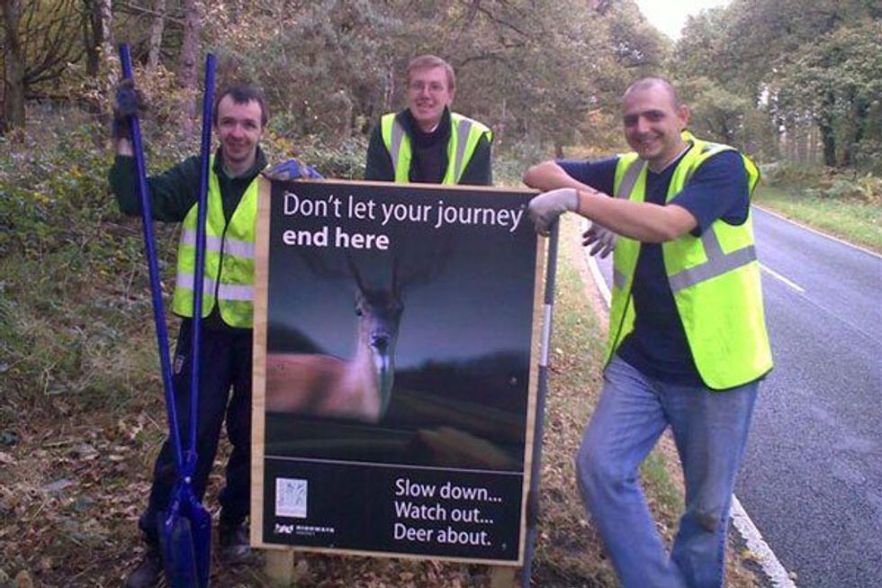 Deer Aware road campaign