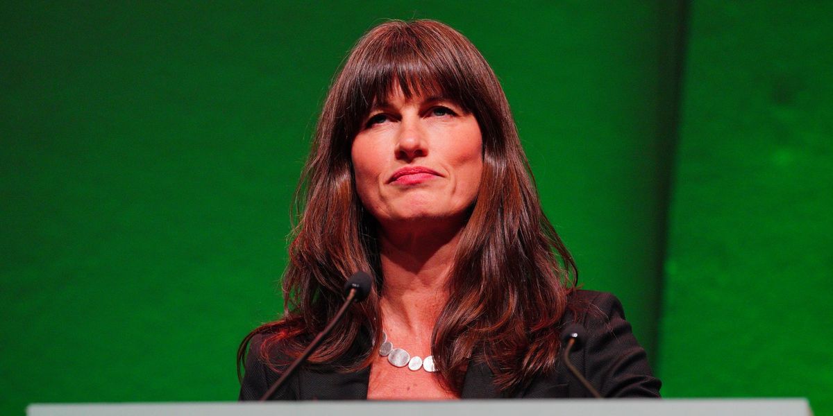 Second Green deputy leader is 'also a landlord' – despite backing plans to abolish them