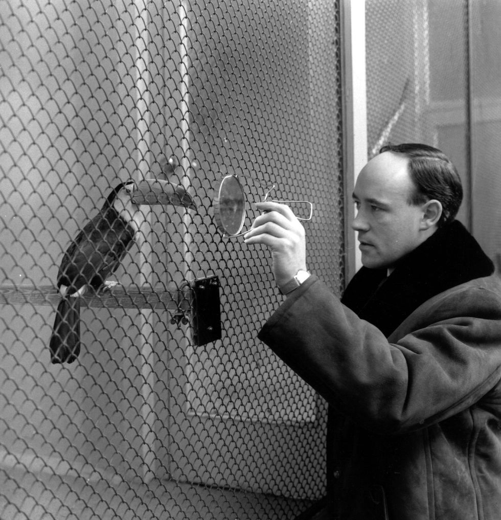 Desmond Morris