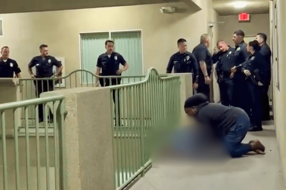 Dog shot dead by LAPD