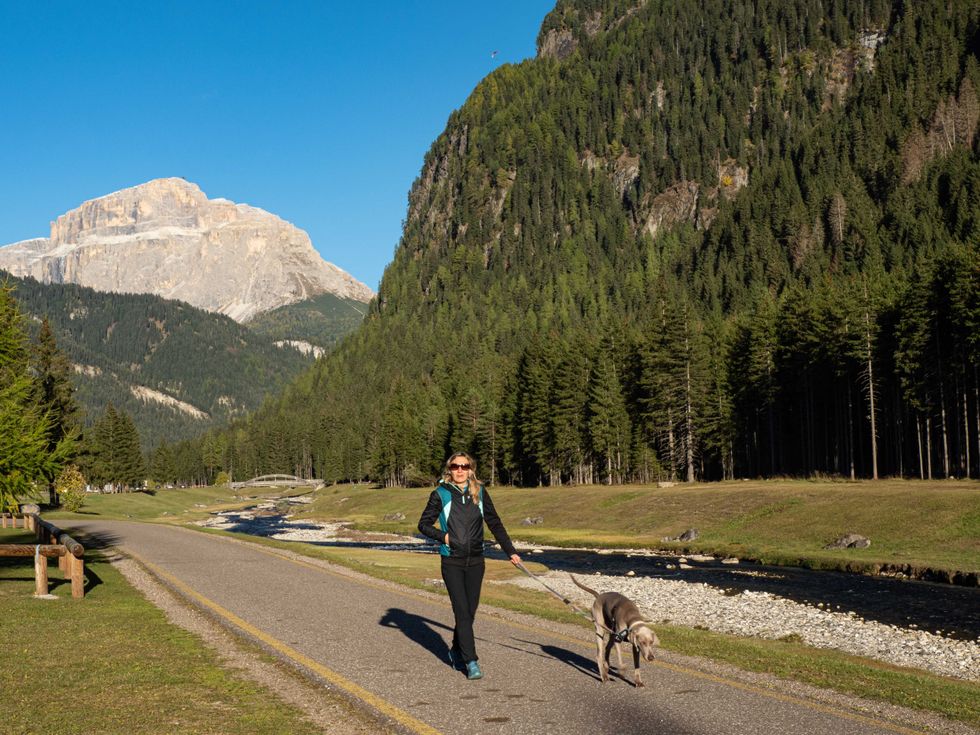 Dog walker in Italy