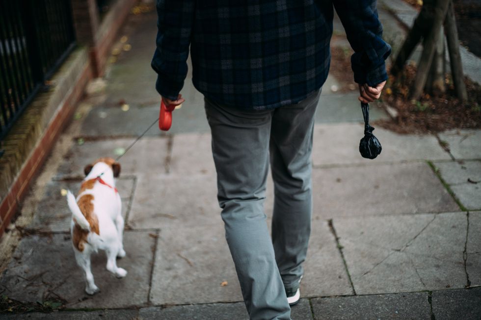 Dog walker