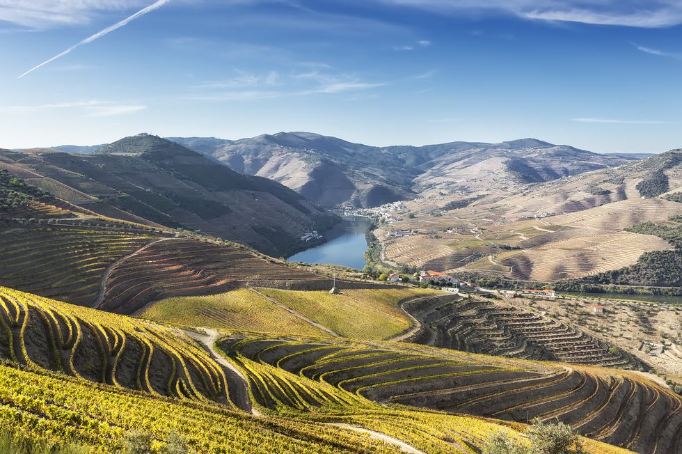 Douro Valley Portugal hills