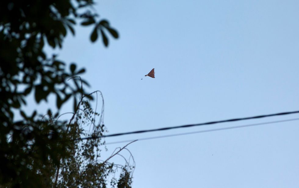 Drone