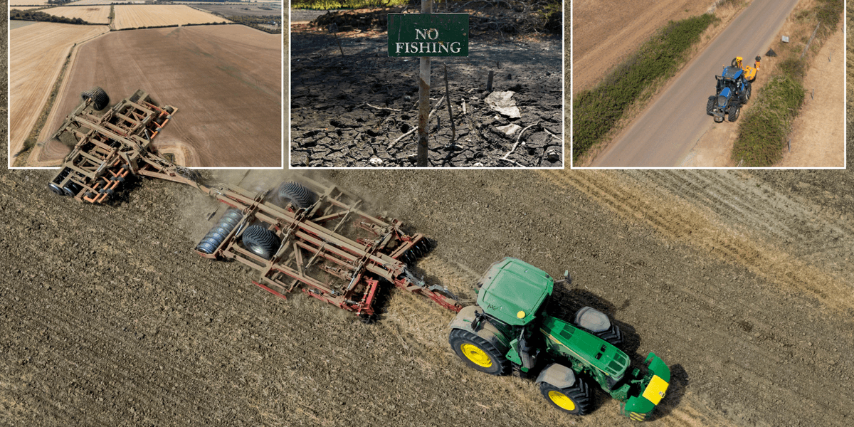 Britain facing 'worst food security crisis in decades' as UK on track for hottest summer ever on record