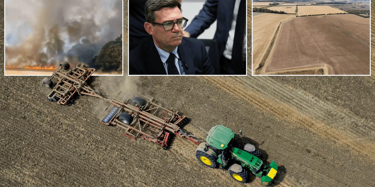 Andy Burnham will hand farmers £65million amid driest July: 'Should not have to carry the risk of climate change alone!'