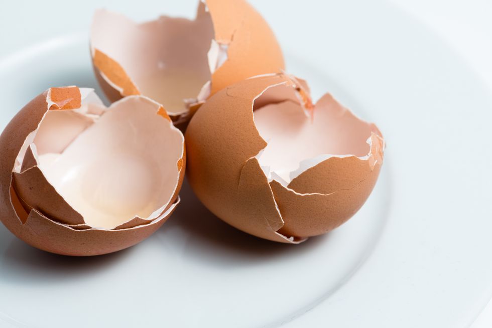 Egg shells