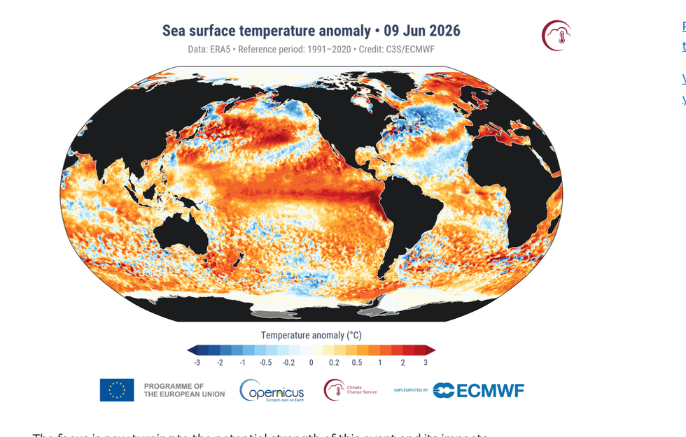 El Nino confirmed by rising sea temperatures