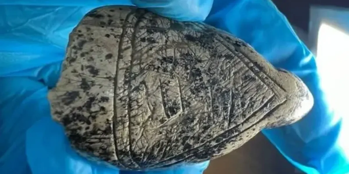 Archaeologists uncover remarkable Ice Age 'Venus' models carved from mammoth ivory
