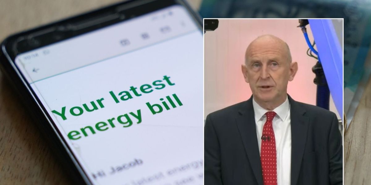 Energy bills 'could fall by £250' as 123 UK organisations urge John Healey to scrap 'hidden taxes'