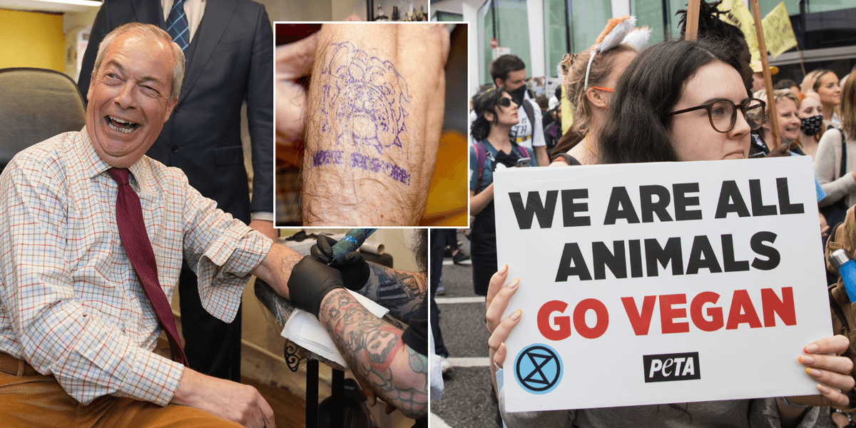 'Woke nonsense!' Reform brands Peta 'anti-British' after NGO scolds Nigel Farage's bulldog 'tattoo'