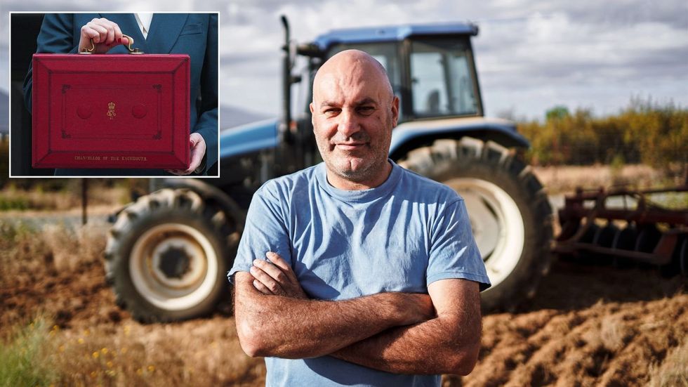 Farmer and Budget