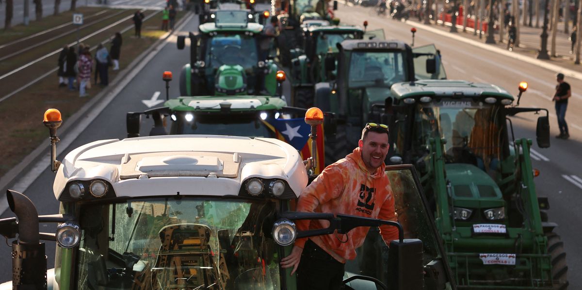 ‘Europe’s farmer protests are coming to the UK – and Labour is to blame,’ says Andrew RT Davies