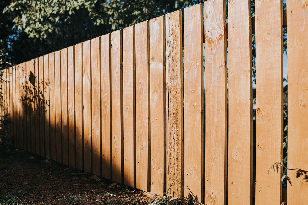 Fence (stock)