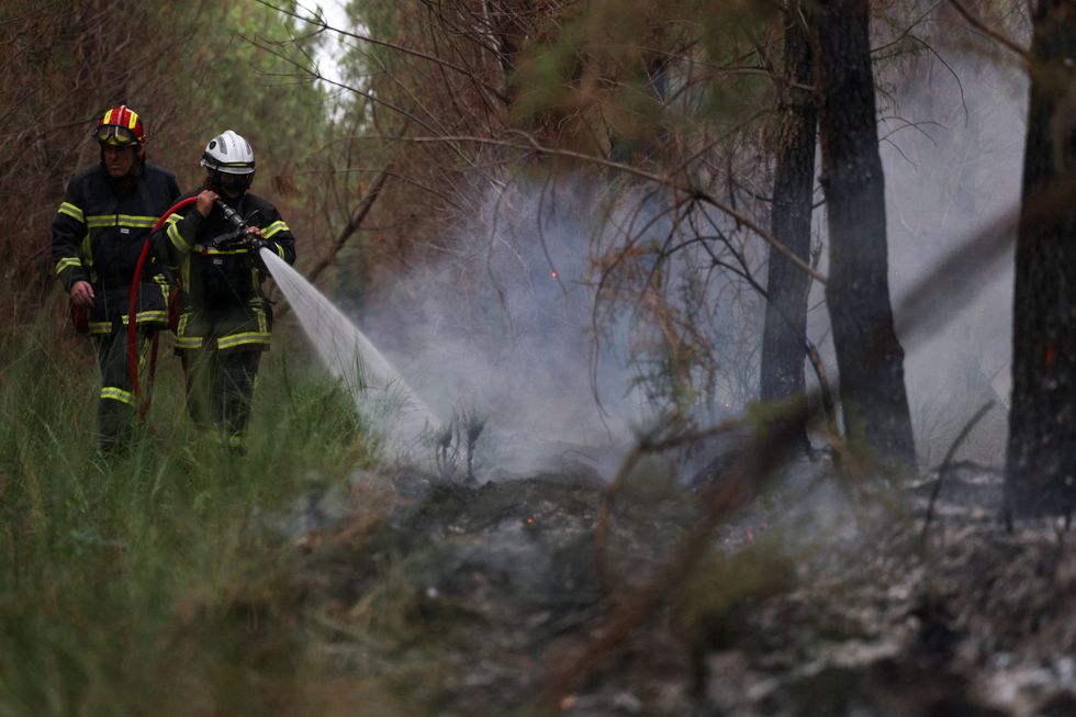 Firefighters extinguish wildfire in Bordeaux