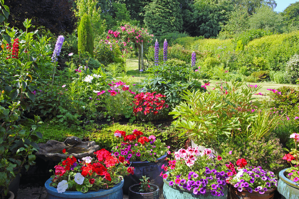 Flower garden