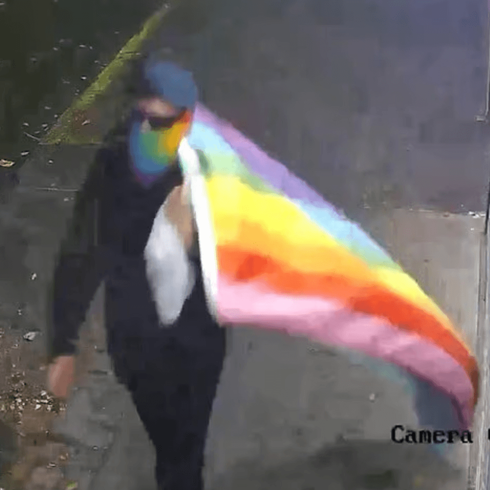 Footage of the vandal