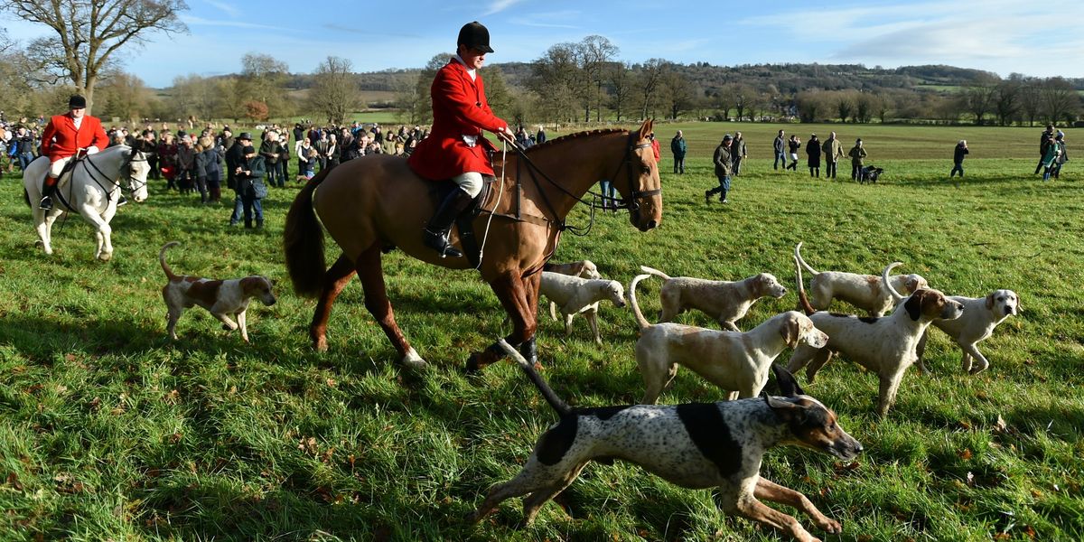 Scotland Yard looking into claims Labour banned fox hunting in return for £1m donation