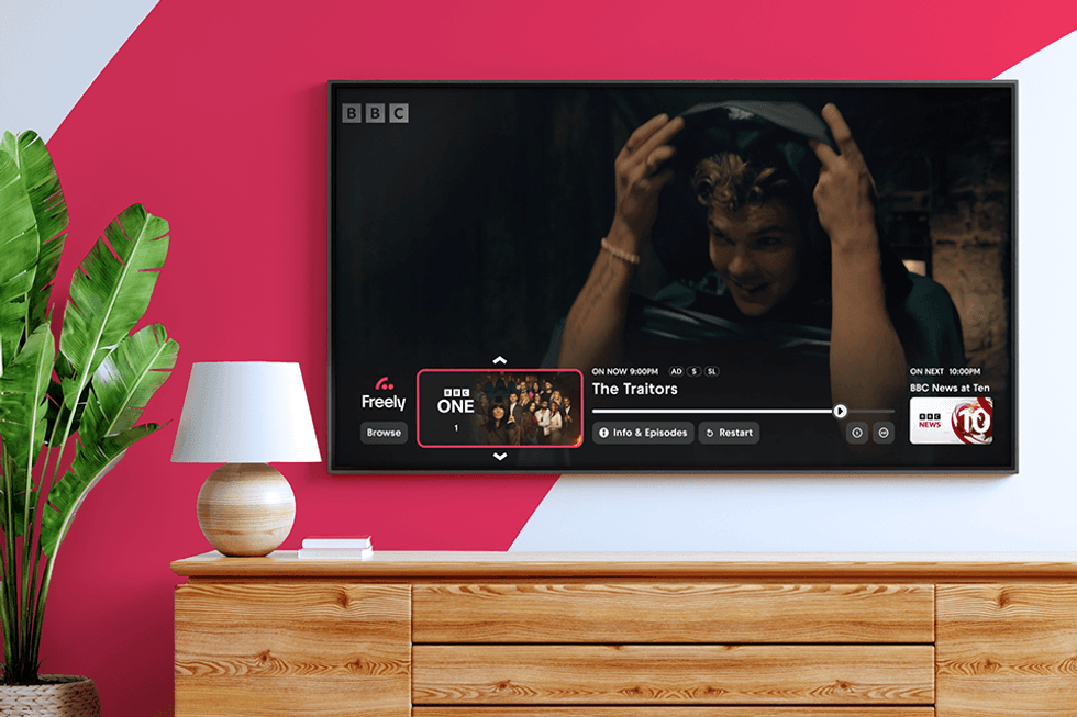 freely flatscreen TV on a wall with the TV Guide on screen