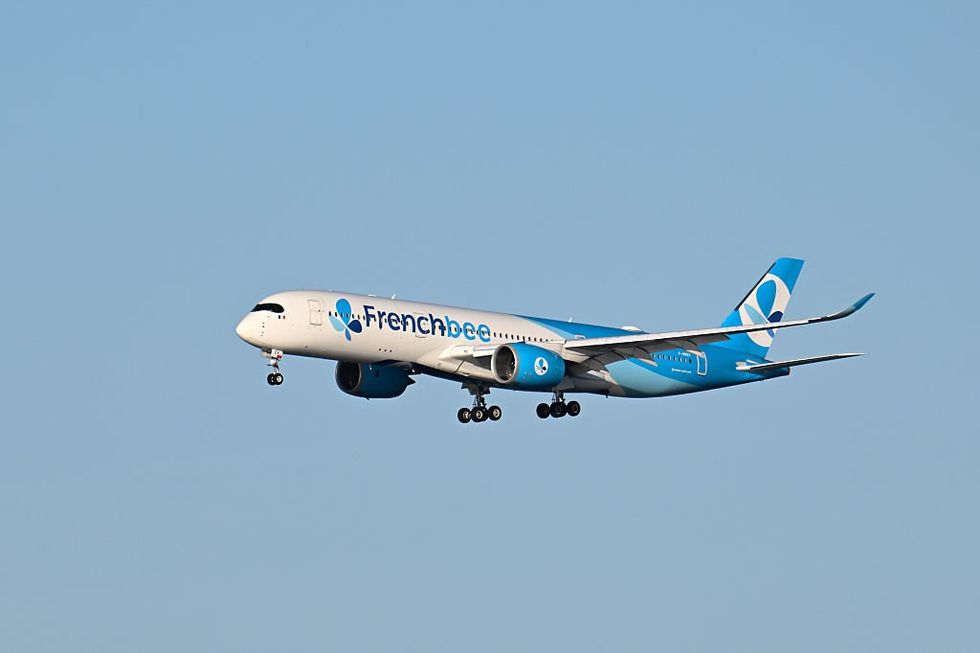 French bee airplane