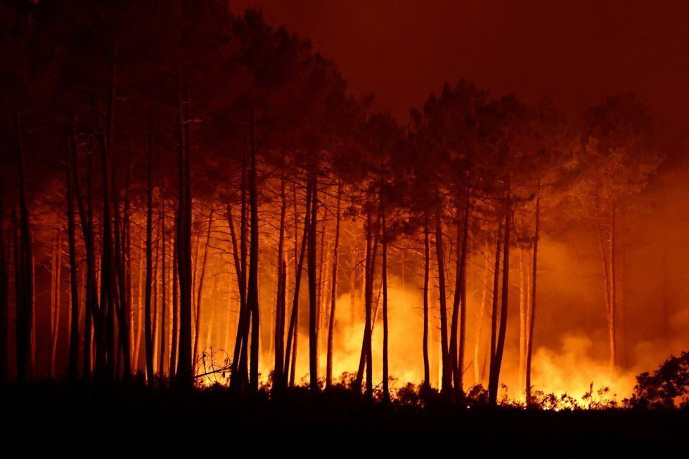 French wildfires