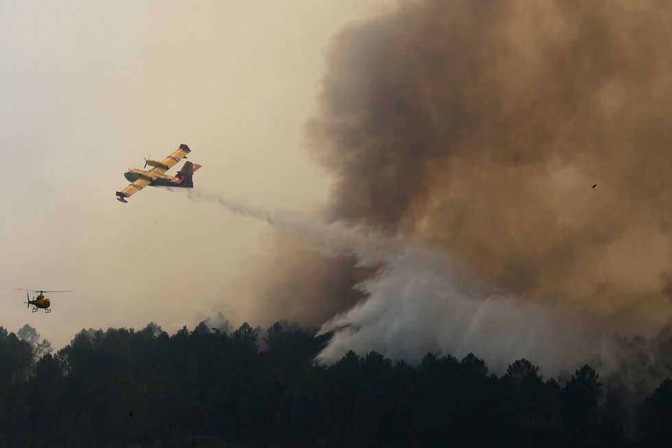 French wildfires