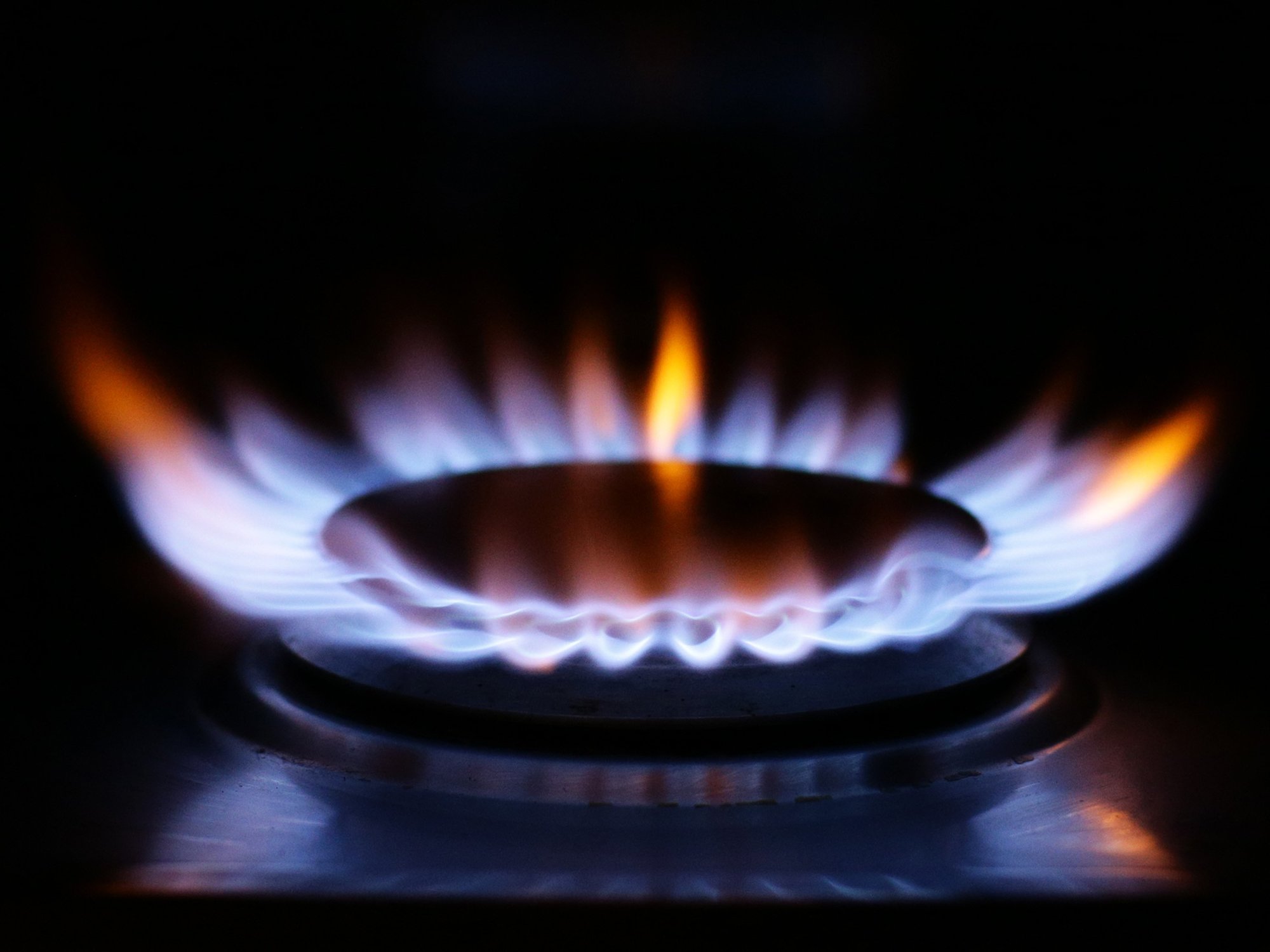 Gas hob