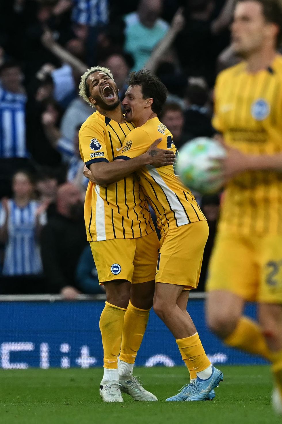 Georginio Rutter earnt a draw for Brighton at the death against Tottenham