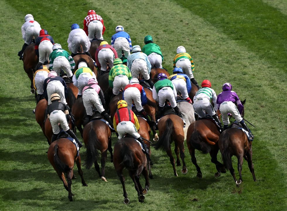Get On George died shortly after running the William Hill Handicap Hurdle