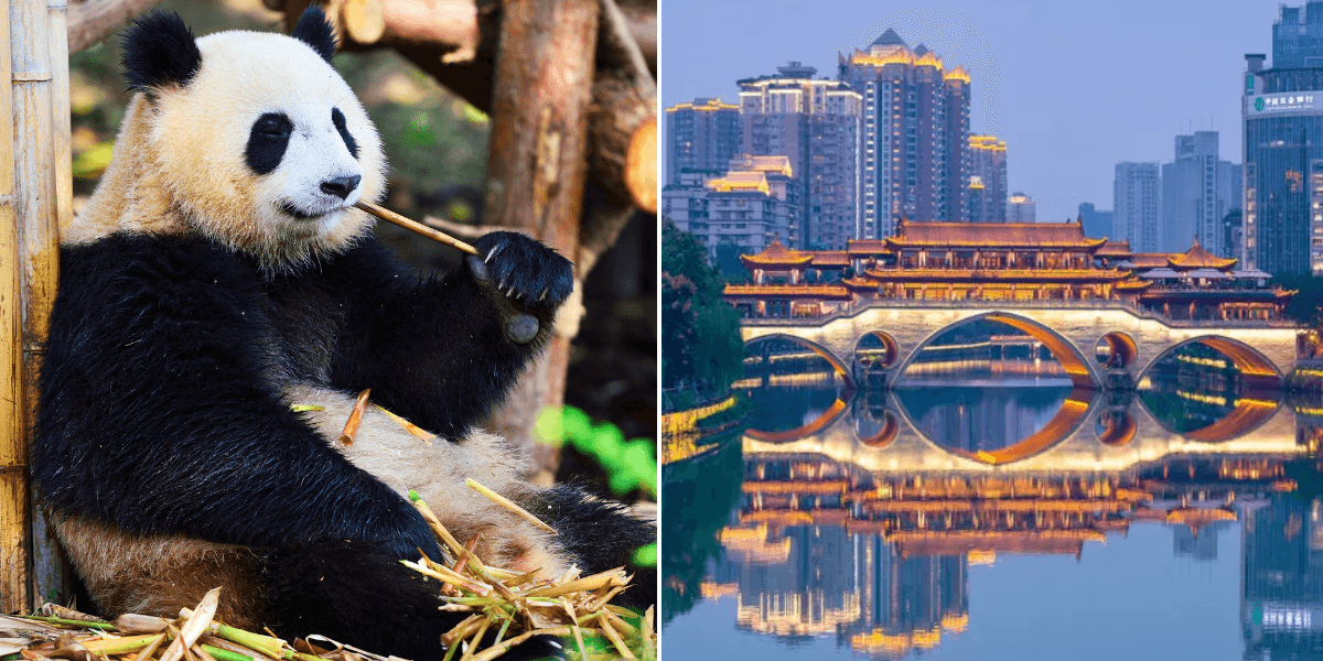 New routes to launch from UK to Asian city famous for giant pandas and iconic cuisine