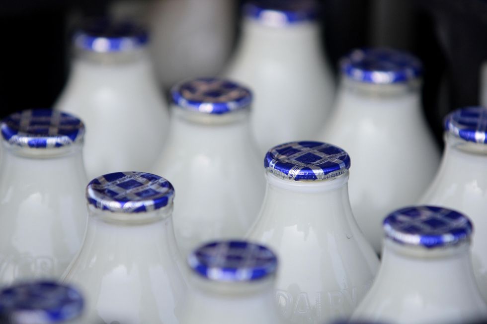 Glasses of milk