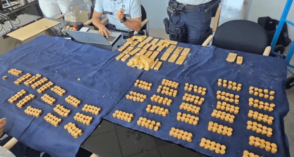 Gold coin trove