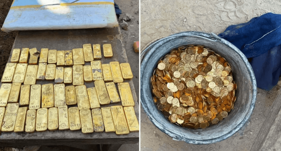 Gold coins and bars