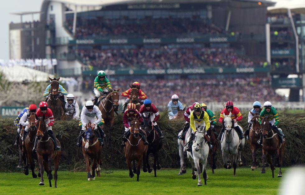 Grand National 2024