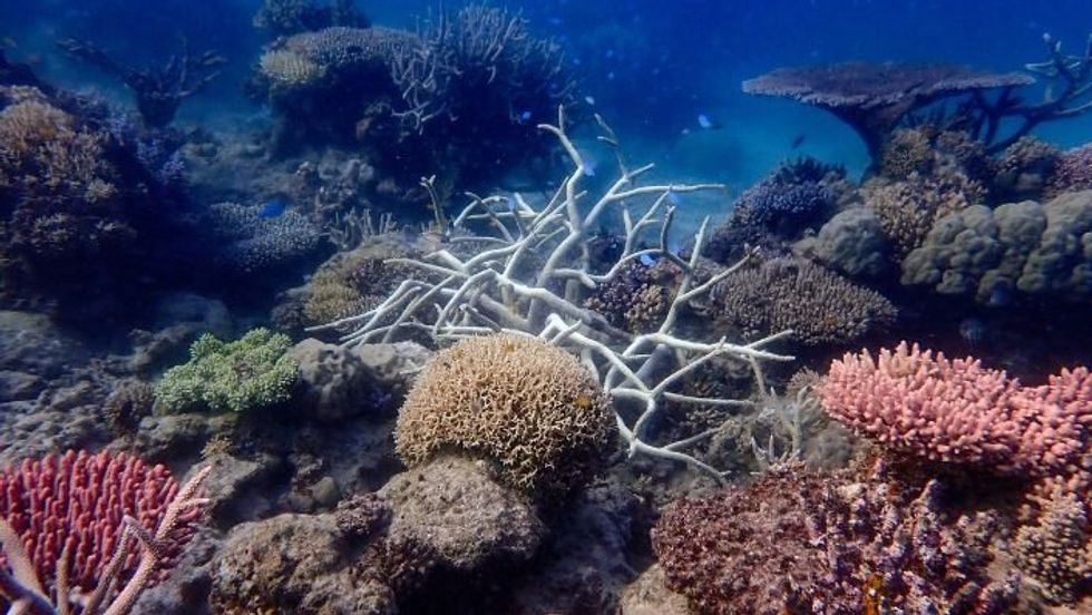Great Barrier Reef