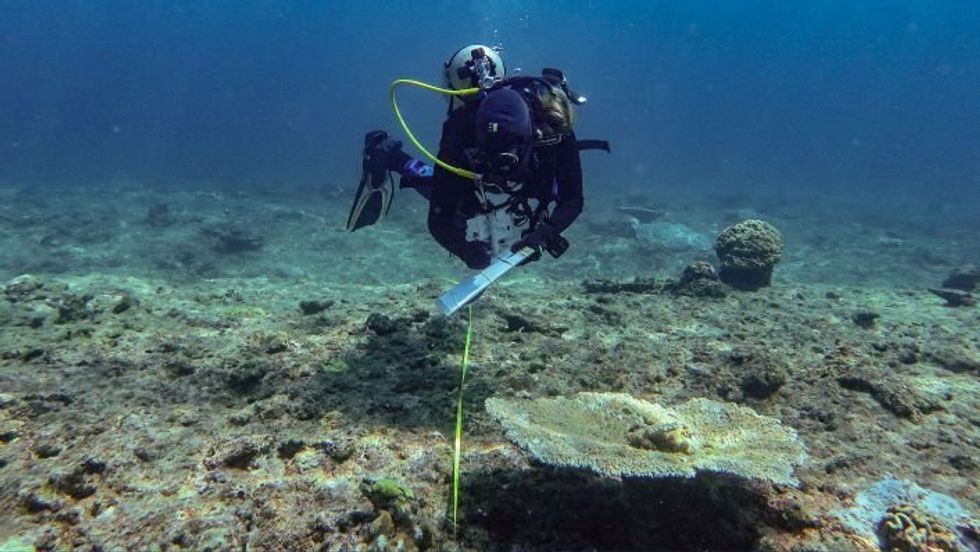 Great Barrier Reef