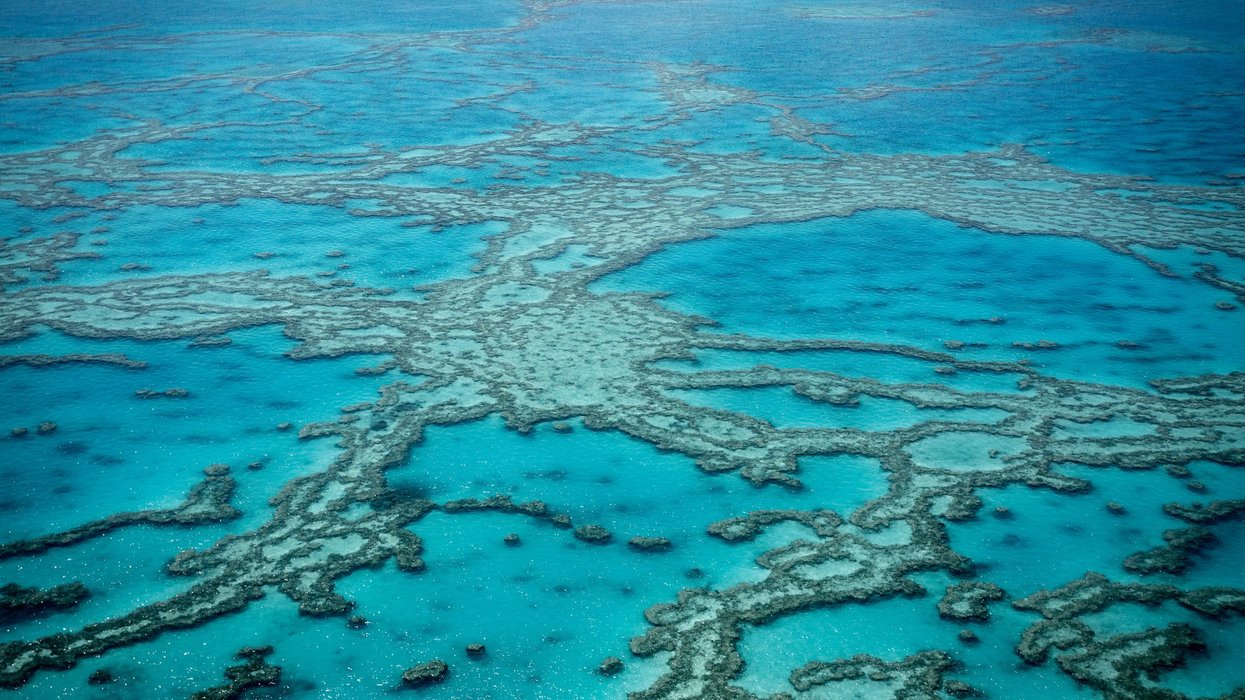 Great Barrier Reef