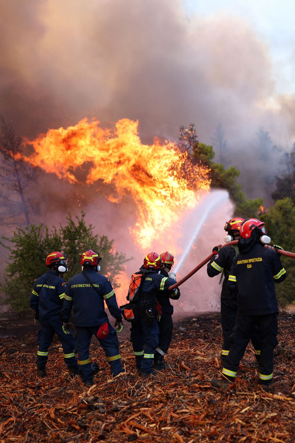 Greece wildfires