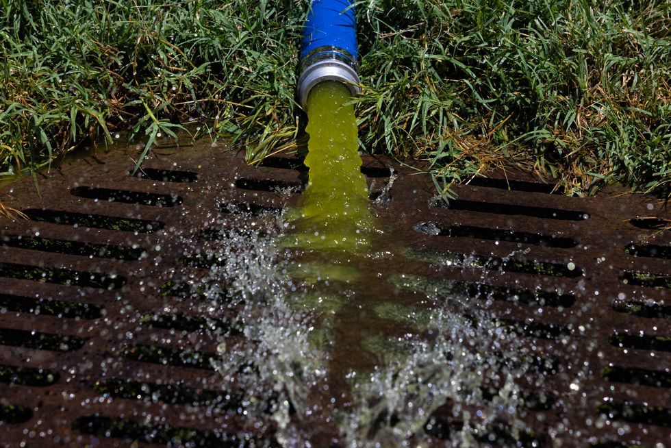 Green water from Reflecting Pool coming out of hose