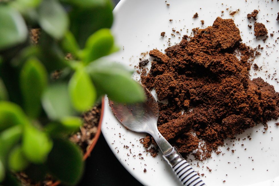 ground coffee