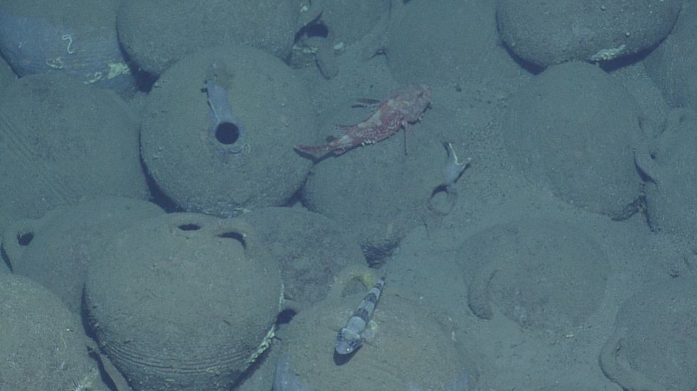 Gunsenin Type I amphorae and fish in Knidos F